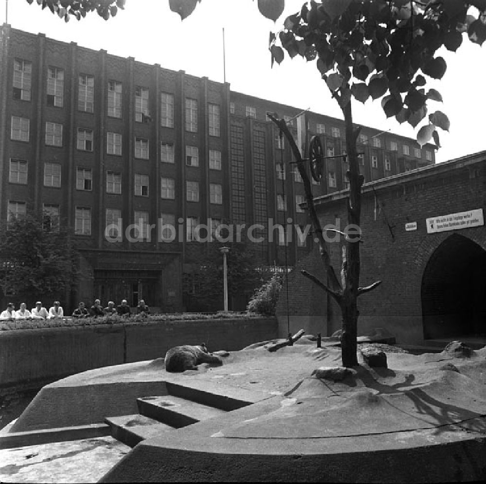 DDR-Fotoarchiv: Berlin - Am Köllnischen Park in Berlin mit Blick auf die Parteihochschule Karl-Marx Foto: Schönfeld