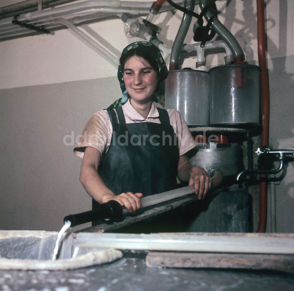 Mühlenbecker Land: Arbeiten zur Milchproduktion in einem Landwirtschaftsbetrieb im Ortsteil Schönfließ im Mühlenbecker Land in der DDR