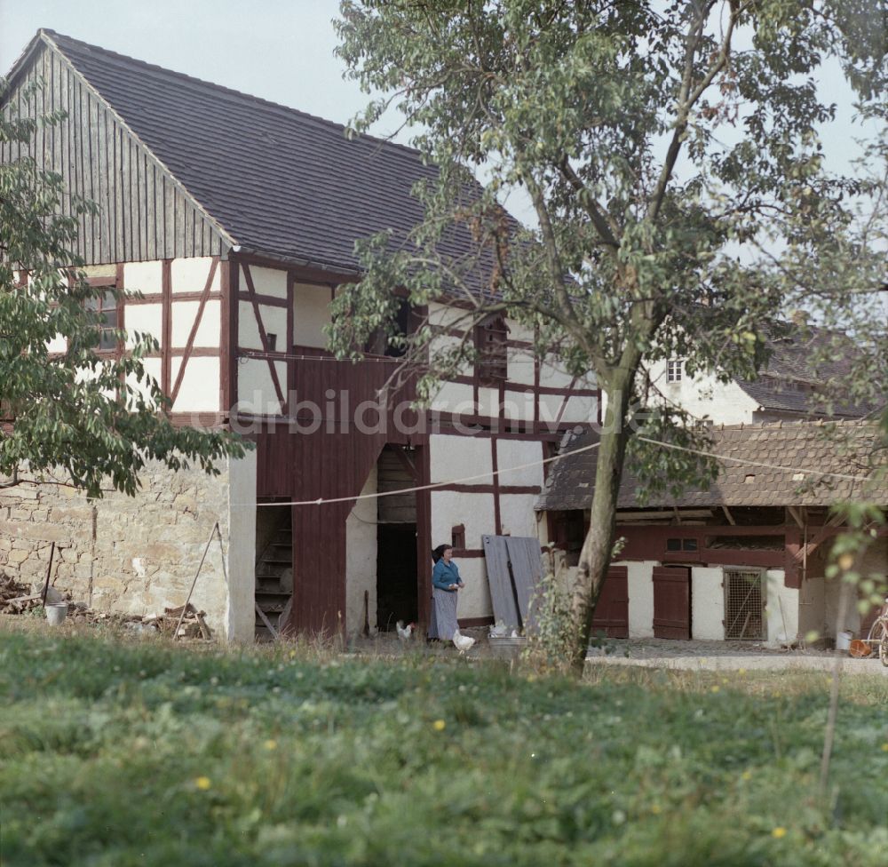 DDR-Bildarchiv: Räckelwitz - Bauernhofbetrieb mit Fachwerkhaus in Räckelwitz in der DDR