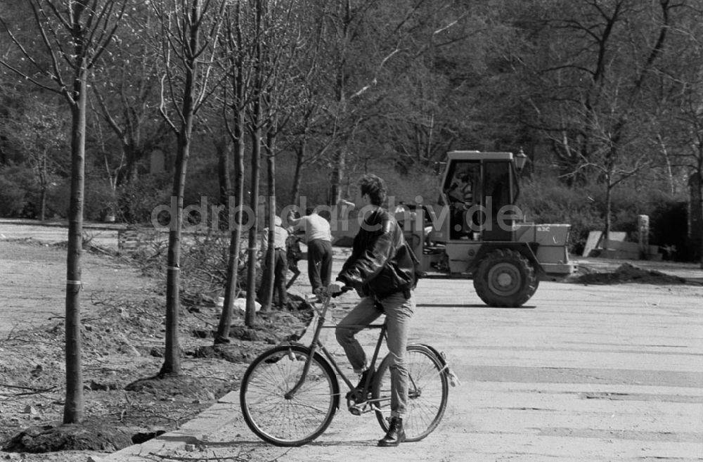 DDR-Bildarchiv: - Baumpflanzaktion im Grenzstreifen Umschlagnummer: 7346