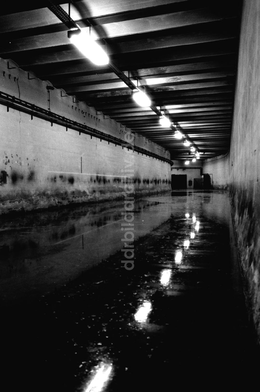 Berlin-Mitte: Begehung im Berliner Lindentunnel. Foto:Grahn