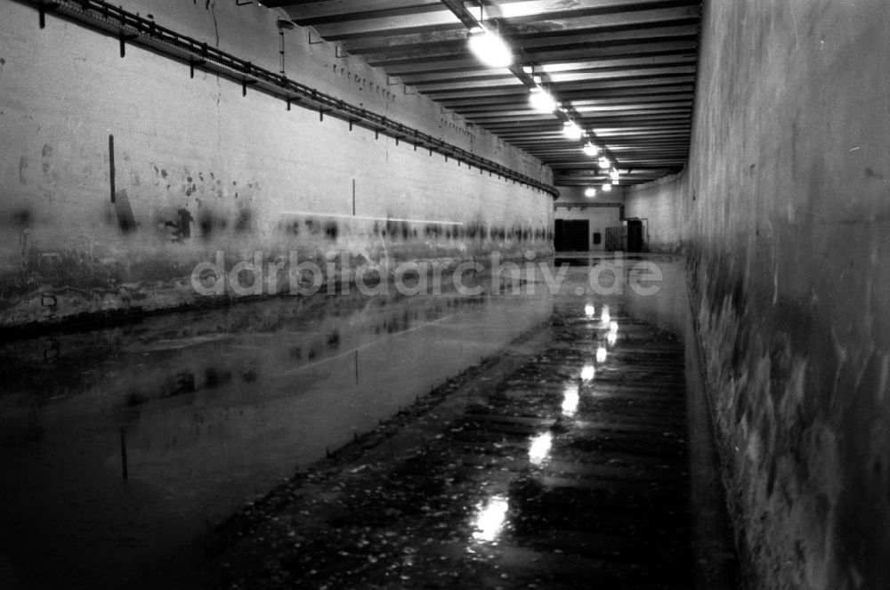 DDR-Bildarchiv: Berlin-Mitte - Begehung im Berliner Lindentunnel. Foto:Grahn