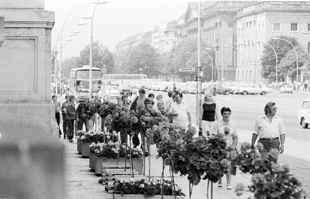 DDR-Fotoarchiv: Berlin - Berlin Berlin - Motive Foto: Bonitz Nr.: 654b