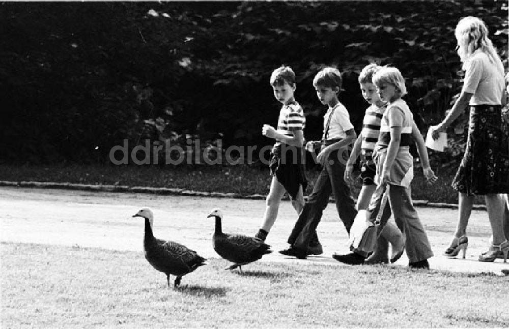 DDR-Fotoarchiv: Berlin - Berlin Berliner Motive Foto: Bonitz Nr.: 605