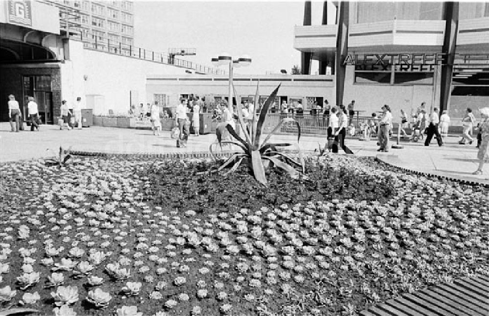 DDR-Bildarchiv: Berlin - Berlin Berliner Stadtbilder Foto: Bonitz Nr.: 629