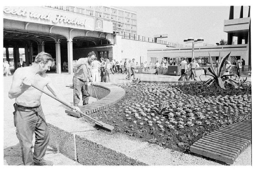 DDR-Bildarchiv: Berlin - Berlin Berliner Stadtbilder Foto: Bonitz Nr.: 629