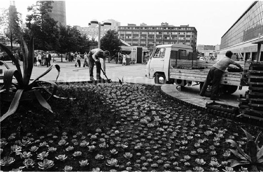 DDR-Fotoarchiv: Berlin - Berlin Berliner Stadtbilder Foto: Bonitz Nr.: 629