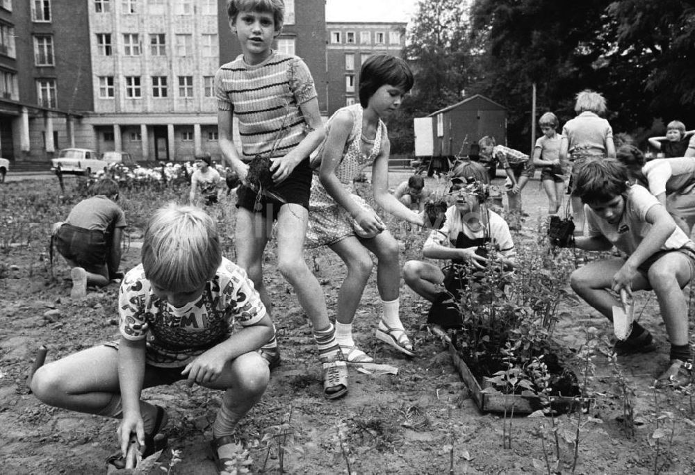 Berlin - Friedrichshain: Berlin-Friedrichshain Kinder bepflanzen Rabatten an der Weberwiese