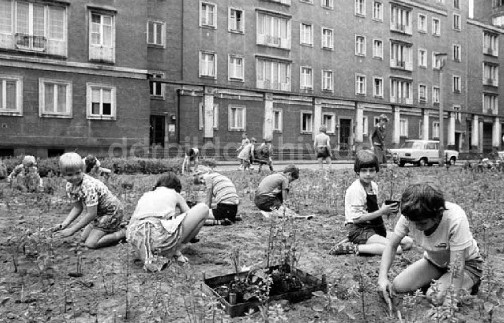 DDR-Fotoarchiv: Berlin - Friedrichshain - Berlin - Friedrichshain Kinder bepflanzen Rabatten an der Weberwiese Foto: Bonitz Nr.: 632