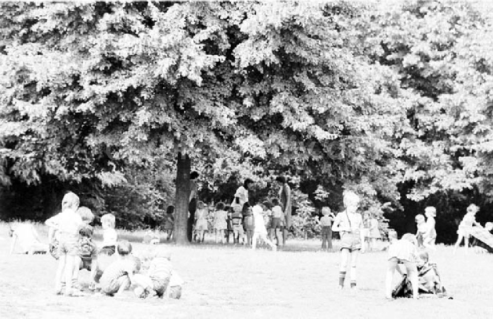 DDR-Bildarchiv: Berlin - Berlin Kinder im Saefko Park Foto: Bonitz Nr.: 633