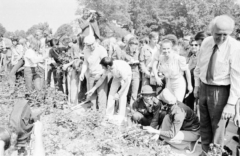 DDR-Bildarchiv: Berlin - Treptow - Berlin - Rosenpflanzen im Treptower Park 10