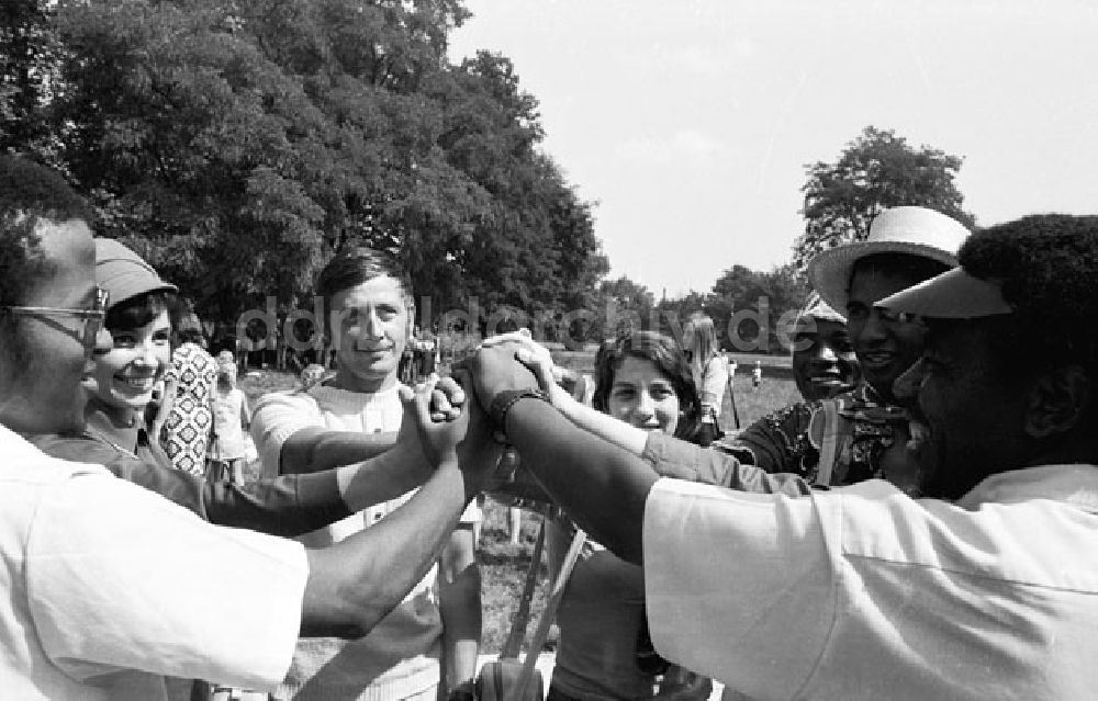 DDR-Fotoarchiv: Berlin - Treptow - Berlin - Rosenpflanzen im Treptower Park 10