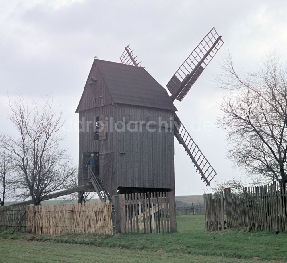 DDR-Fotoarchiv: Beelitz - Bockwindmühle in Beelitz in der DDR