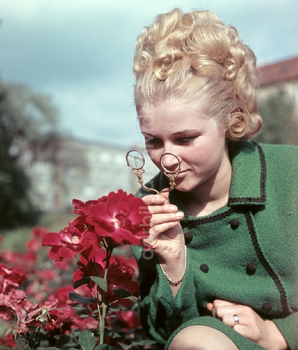 DDR-Fotoarchiv: Dresden - Damenmode - Präsentation in Dresden in der DDR