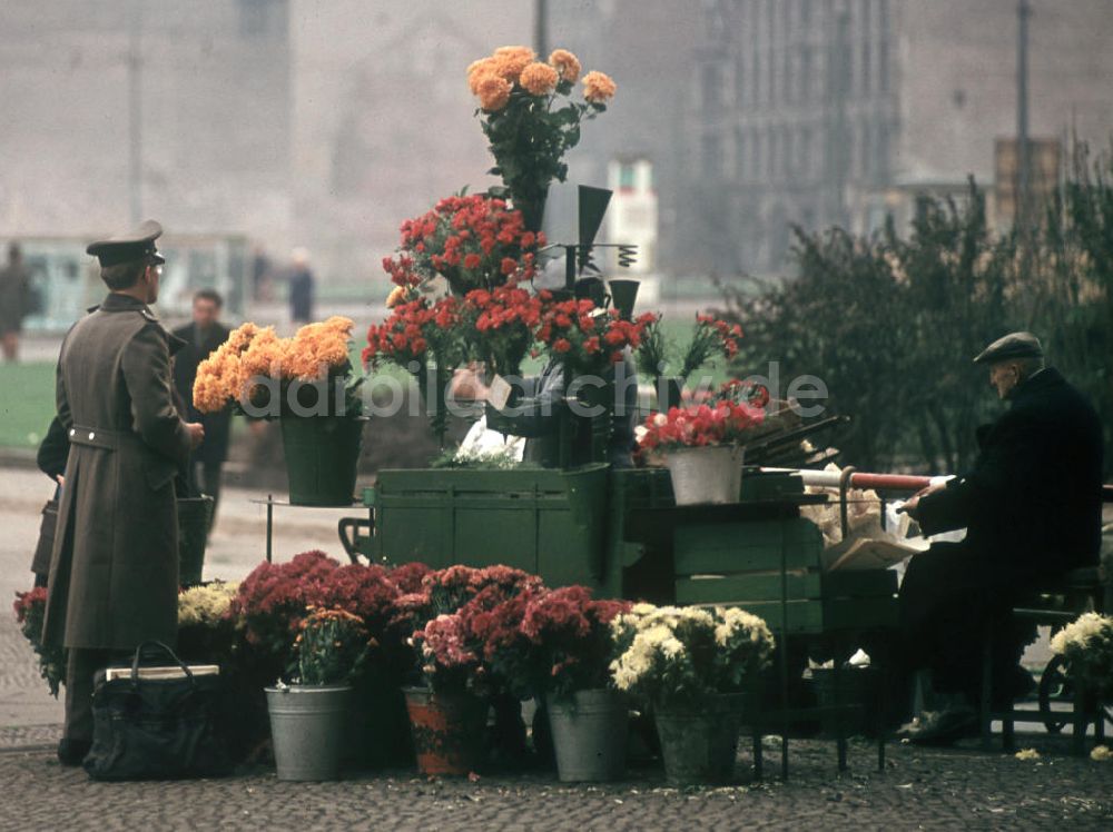 DDR-Fotoarchiv: Berlin - DDR - Alexanderplatz 1967
