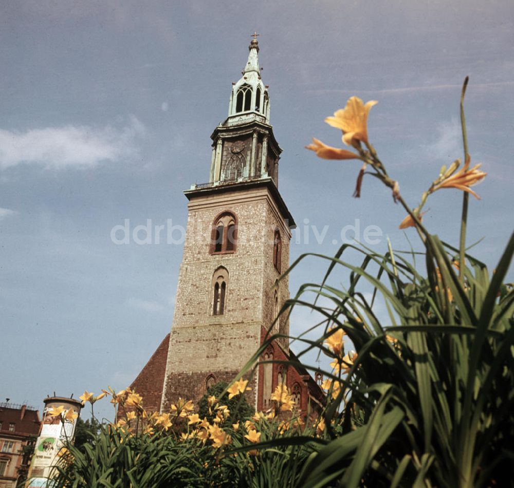 Berlin: DDR - Marienkirche in Berlin 1966