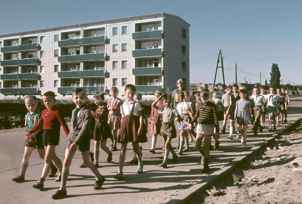 DDR-Fotoarchiv: Berlin - DDR - Schüler in Berlin 1964