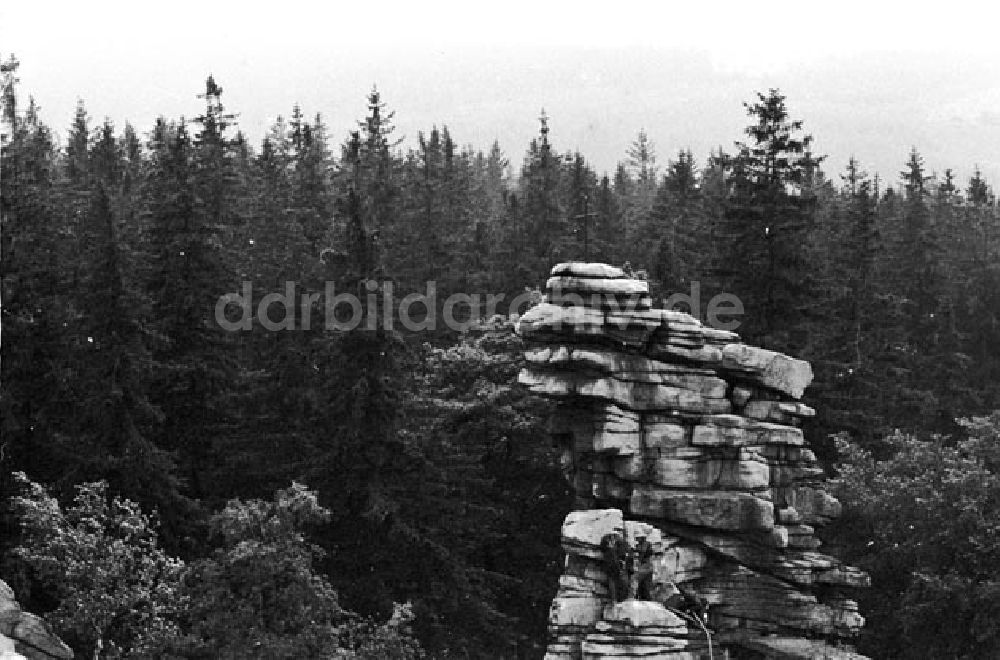 DDR-Fotoarchiv: Sachsen - Elbsandstein Greifensteiner Freilichtbühne Foto: Bonitz Nr.: 651