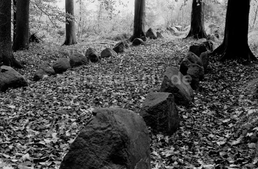 DDR-Bildarchiv: - Eversdorf - Mecklenburg-Vorpommern Geschützte Bodendenkmale im Eversdorfer Forst Krs