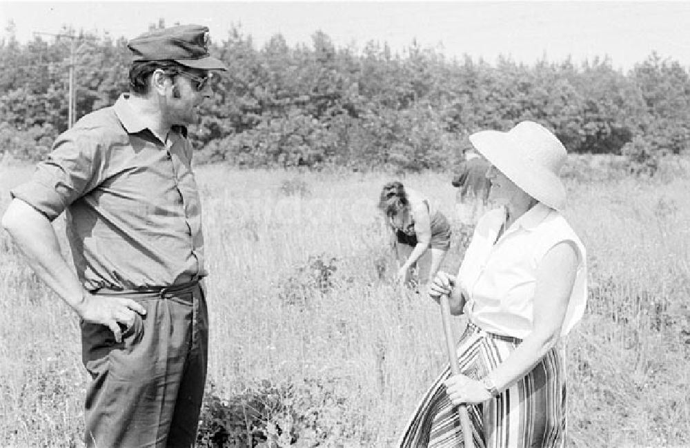 DDR-Bildarchiv: Forst - Forst Pflege von jungen Kieferpflanzen im Forstbetrieb Foto: Bonitz Nr.: 577