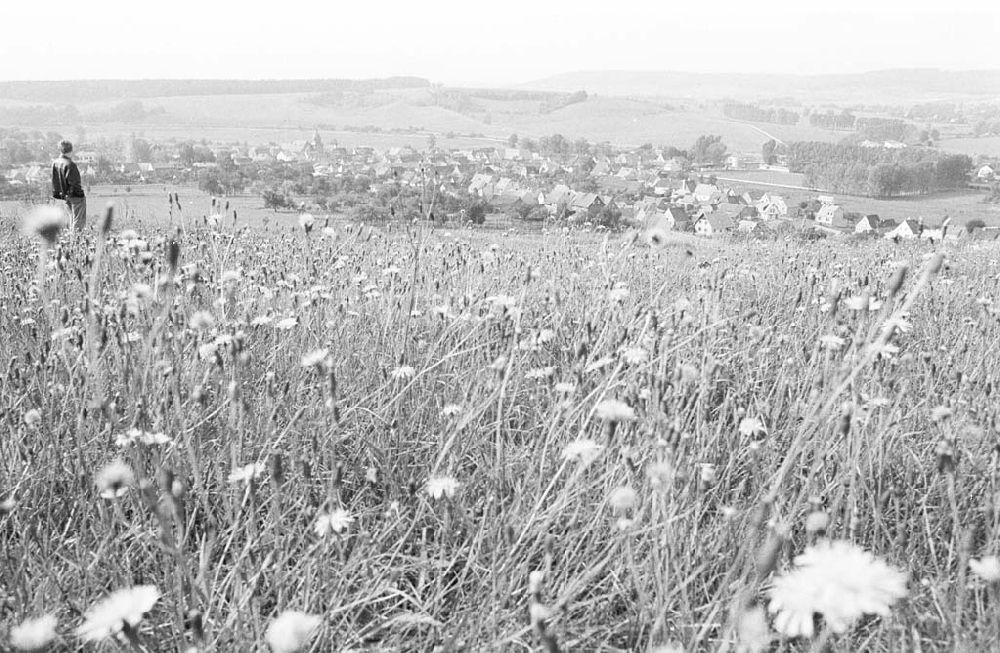 DDR-Fotoarchiv: Eichsfeld - Foto: Lange Umschlagsnr.: 1993-251