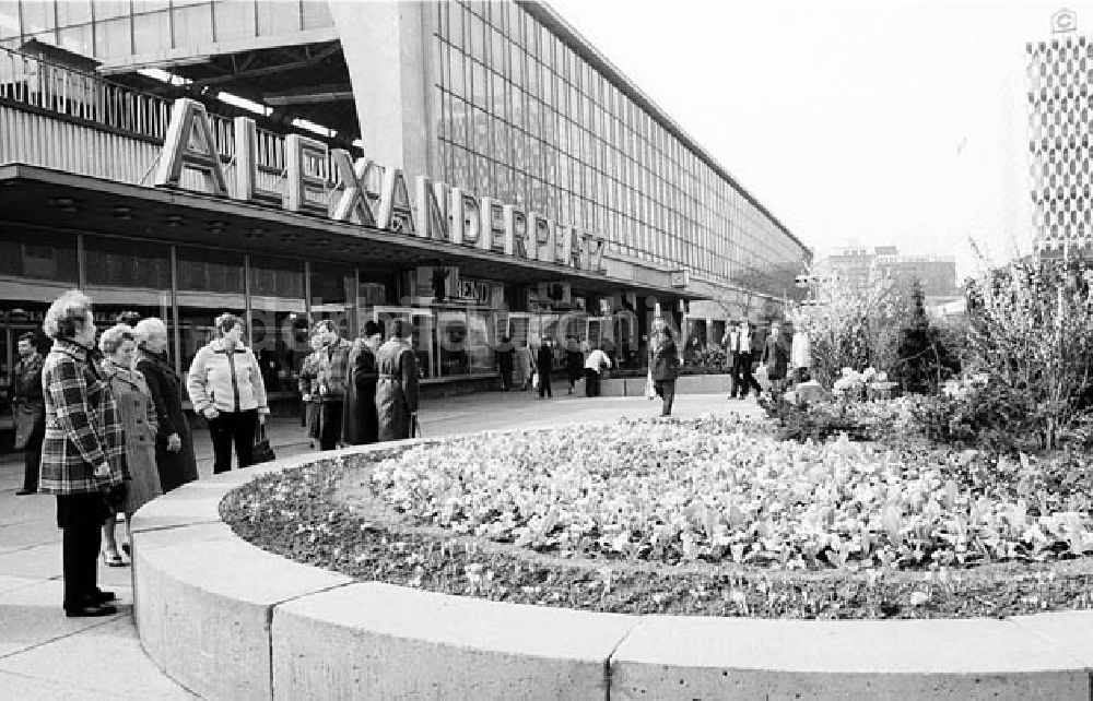 DDR-Fotoarchiv: Alexanderplatz/ Berlin-Mitte - Frühjahrsbepflanzung in Berlin am Alexanderplatz Umschlagnr.: 269 Foto: Winkler