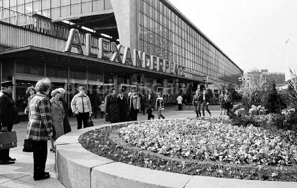 Alexanderplatz/ Berlin-Mitte: Frühjahrsbepflanzung in Berlin am Alexanderplatz Umschlagnr.: 269 Foto: Winkler