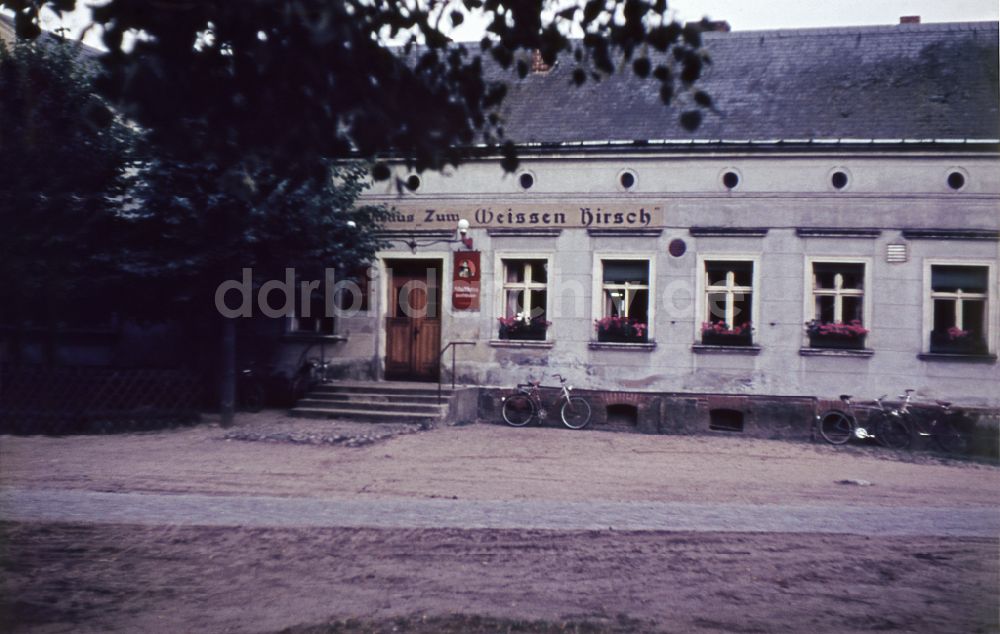 DDR-Bildarchiv: Menz - Gaststätte Zum Weissen Hirsch in Menz in der DDR