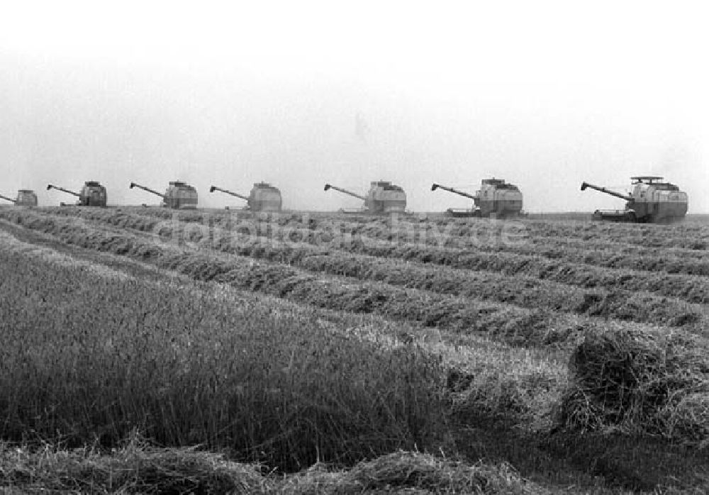 DDR-Fotoarchiv: Berlin - Gen. Grüneberg besichtigt Kremmen Foto: Schönfeld