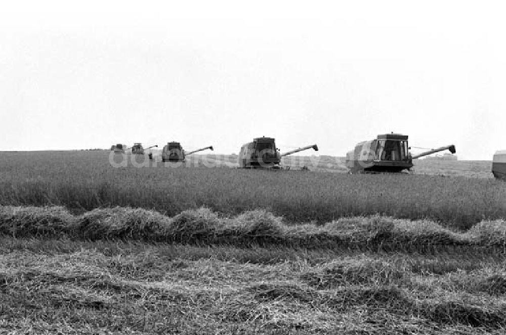 DDR-Bildarchiv: Berlin - Gen. Grüneberg besichtigt Kremmen Foto: Schönfeld