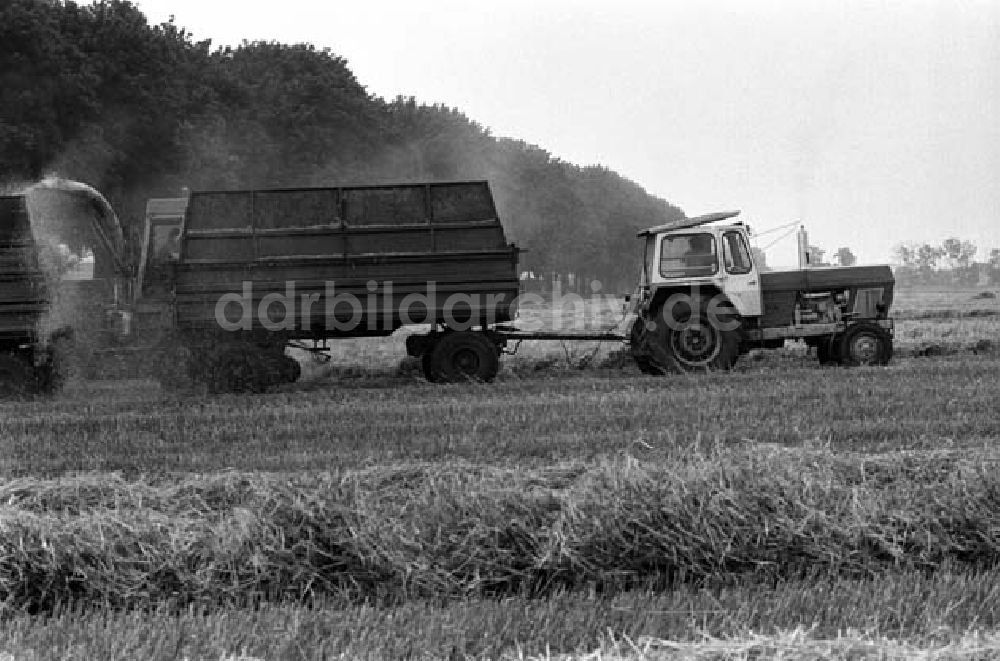 Berlin: Gen. Grüneberg besichtigt Kremmen Foto: Schönfeld