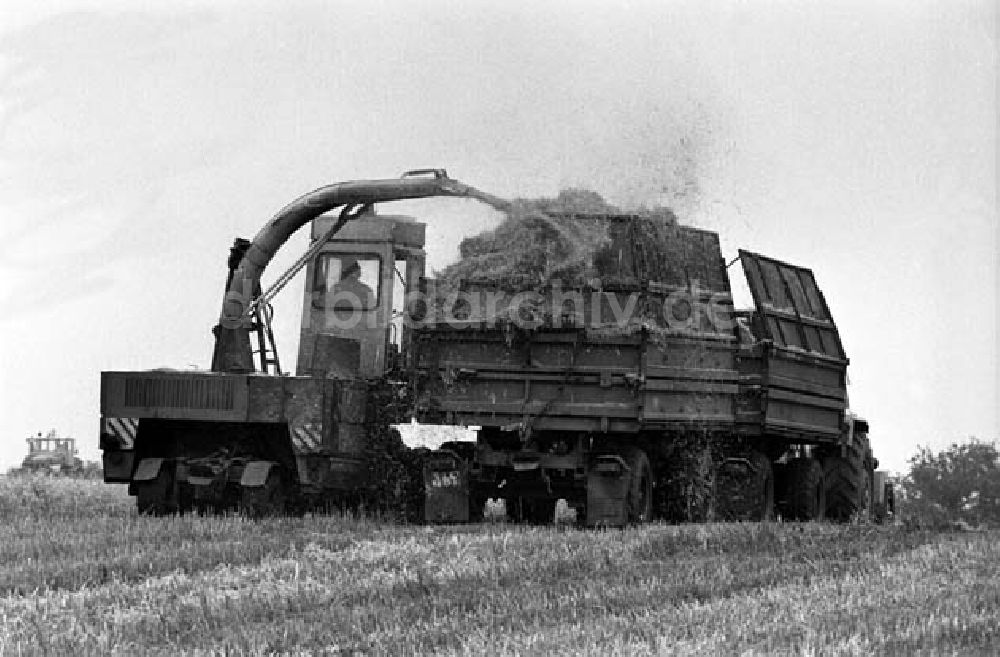 DDR-Bildarchiv: Berlin - Gen. Grüneberg besichtigt Kremmen Foto: Schönfeld