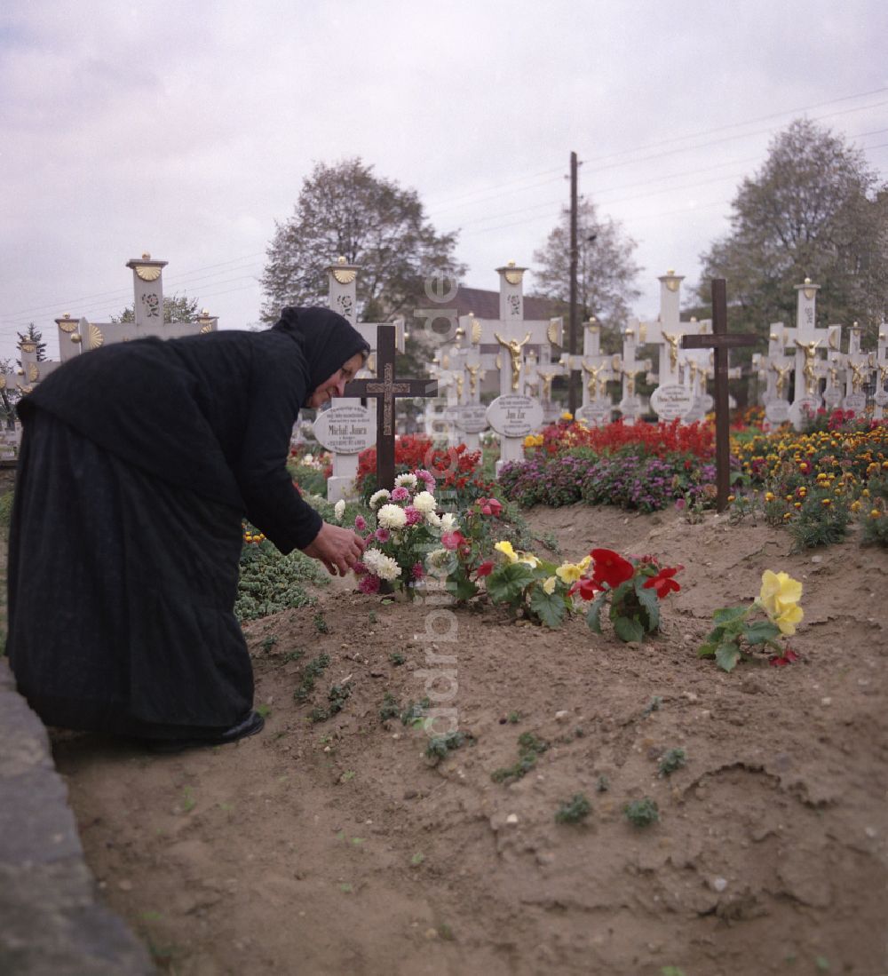 DDR-Fotoarchiv: Ralbitz-Rosenthal - Grabstein Ensemble auf dem sorbischen Friedhof in Ralbitz-Rosenthal in der DDR