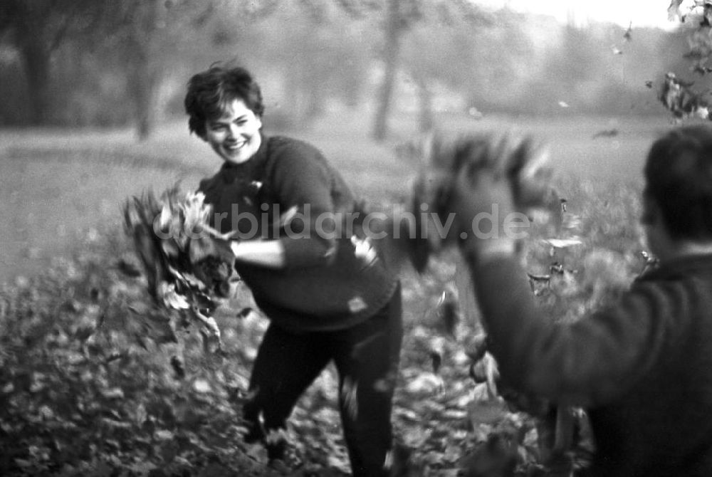 DDR-Fotoarchiv: Leipzig - Herbst, Laubschlacht in Leipzig