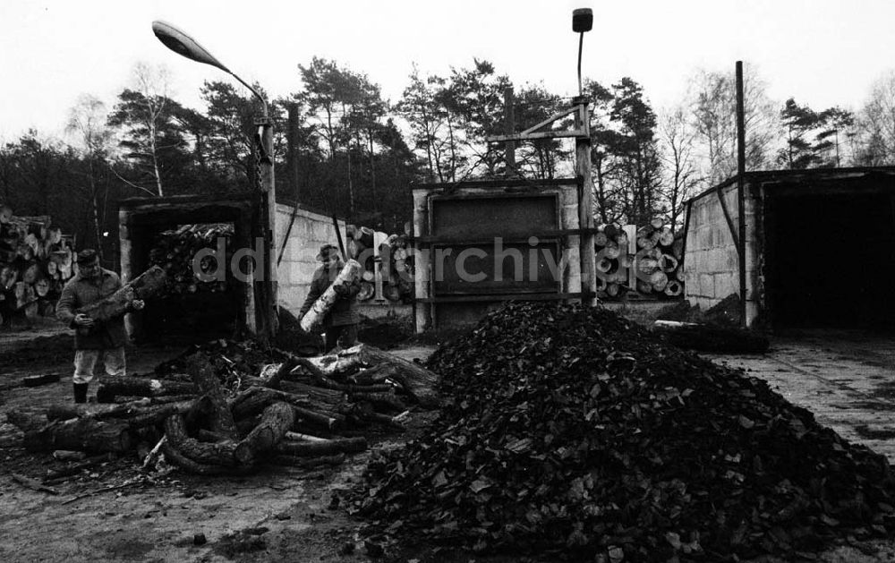 DDR-Fotoarchiv: - Holzverarbeitung / Land - Sachsen-Anhalt Umschlag:7101