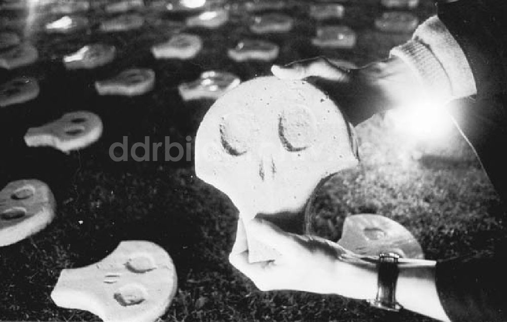 DDR-Bildarchiv: Berlin - Killing Field Memorial - im Tiergarten 07.01.1993