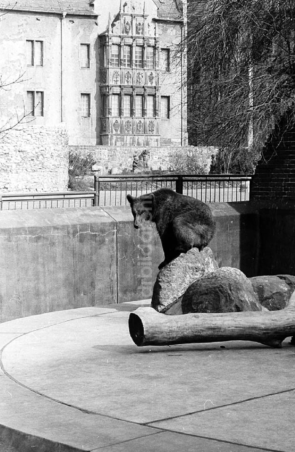 DDR-Fotoarchiv: Berlin - Köllnischer Park in Berlin Umschlagnr.: 253 Foto: Winkler