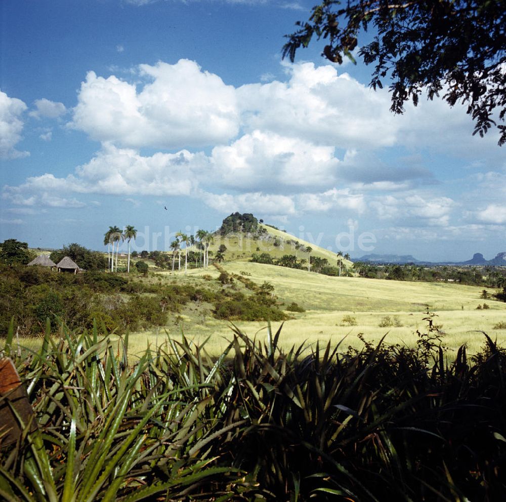 DDR-Fotoarchiv: Gibara - Kuba / Cuba - Gibara Landschaft