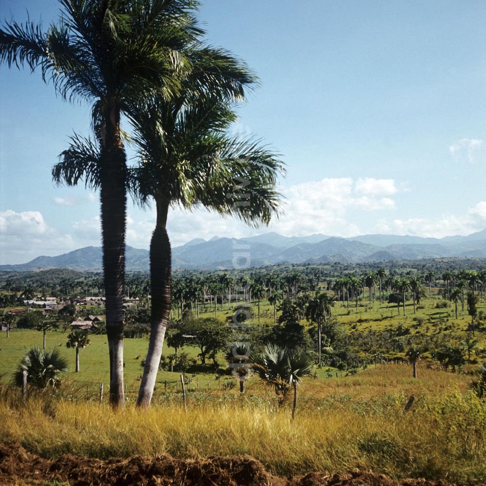 DDR-Fotoarchiv: Gibara - Kuba / Cuba - Sierra Maestra