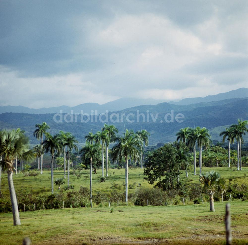 DDR-Fotoarchiv: Gibara - Kuba / Cuba - Sierra Maestra