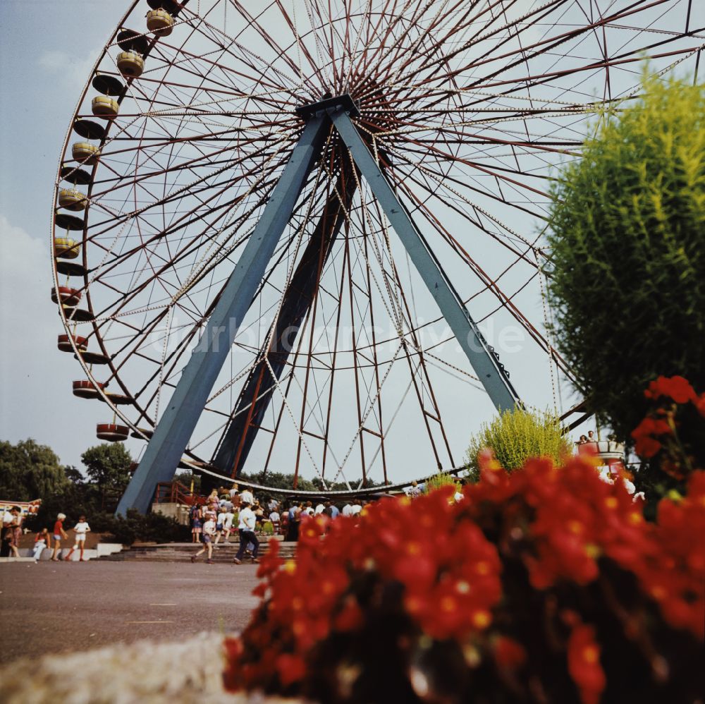 Berlin: Kulturpark Plänterwald in Berlin-Treptow in der DDR