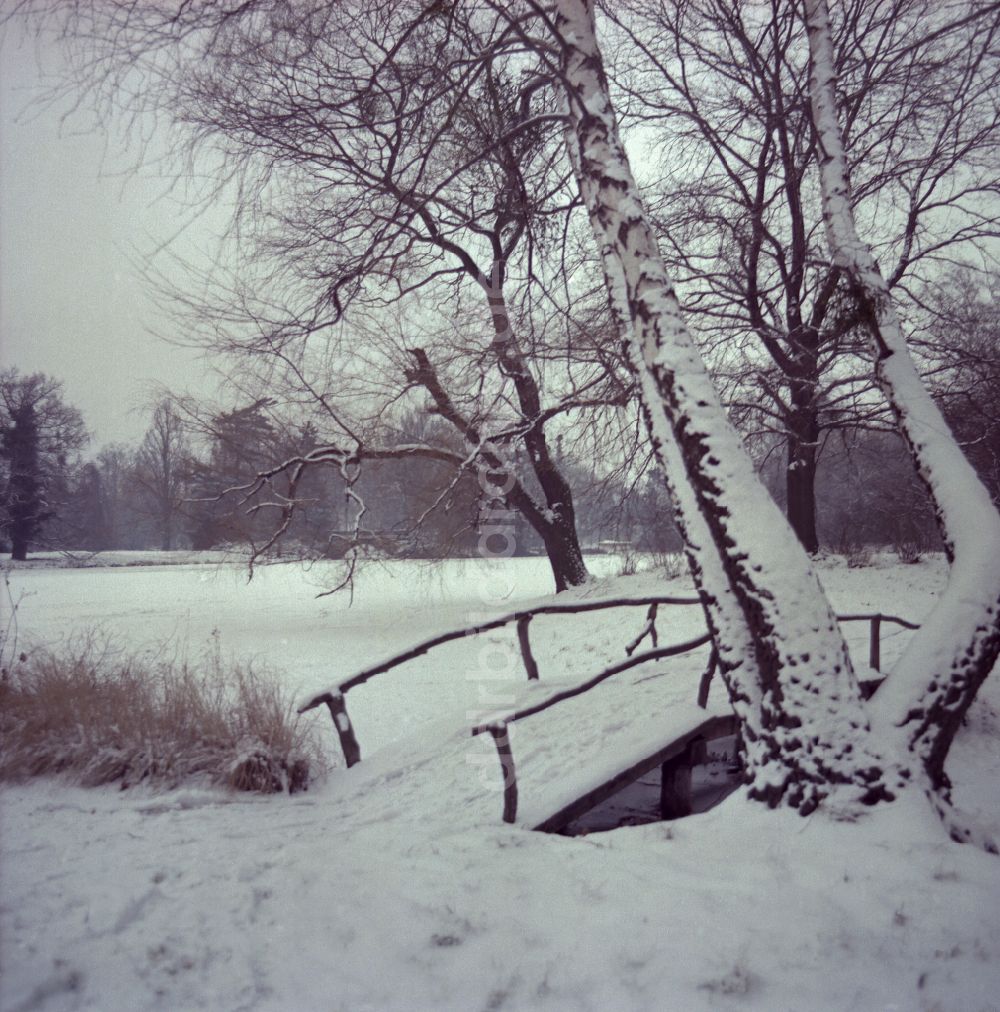 Oranienbaum-Wörlitz: Landschaft mit eingeschneiter Brücke in Oranienbaum-Wörlitz in der DDR