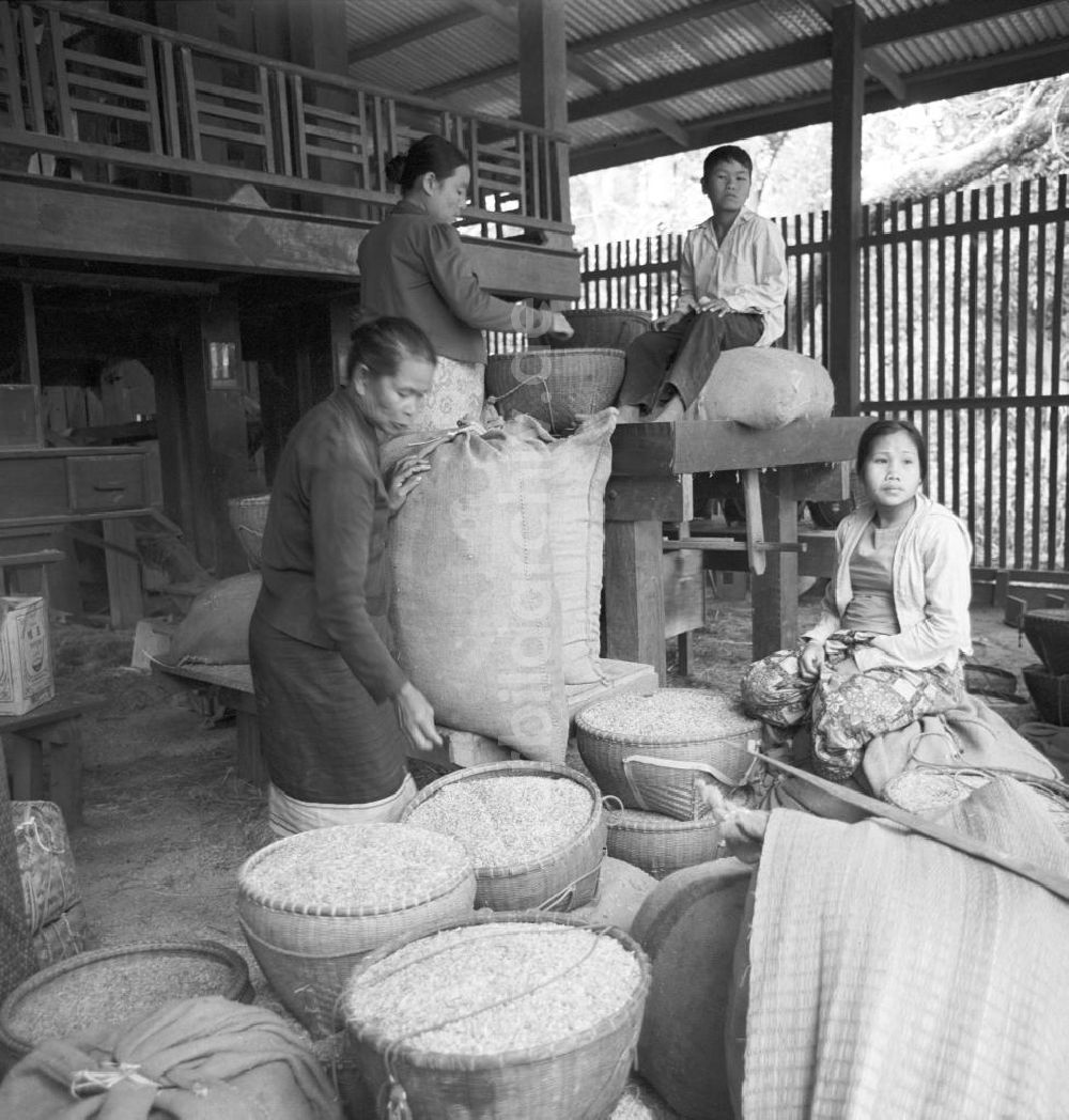 DDR-Fotoarchiv: Vientiane - Laos historisch - Reismühle 1976