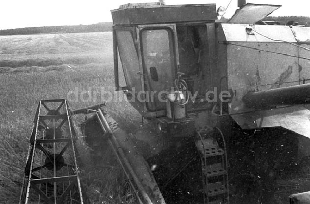 Jeserig: 29.07.1986 LPG Jeserig ( Kreis Brandenburg).