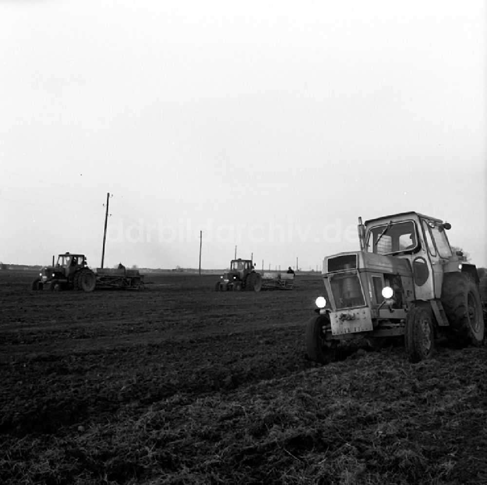 DDR-Bildarchiv: Stolzenhagen - LPG in Stolzenhagen