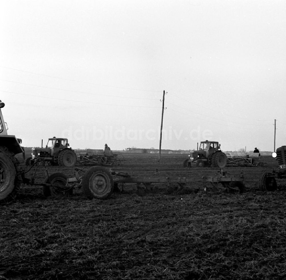 DDR-Fotoarchiv: Stolzenhagen - LPG in Stolzenhagen