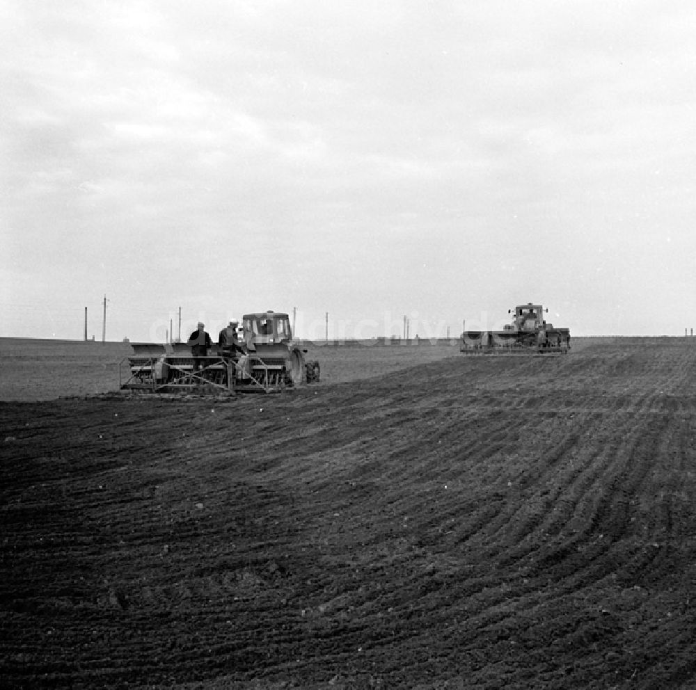 DDR-Fotoarchiv: Stolzenhagen - LPG in Stolzenhagen