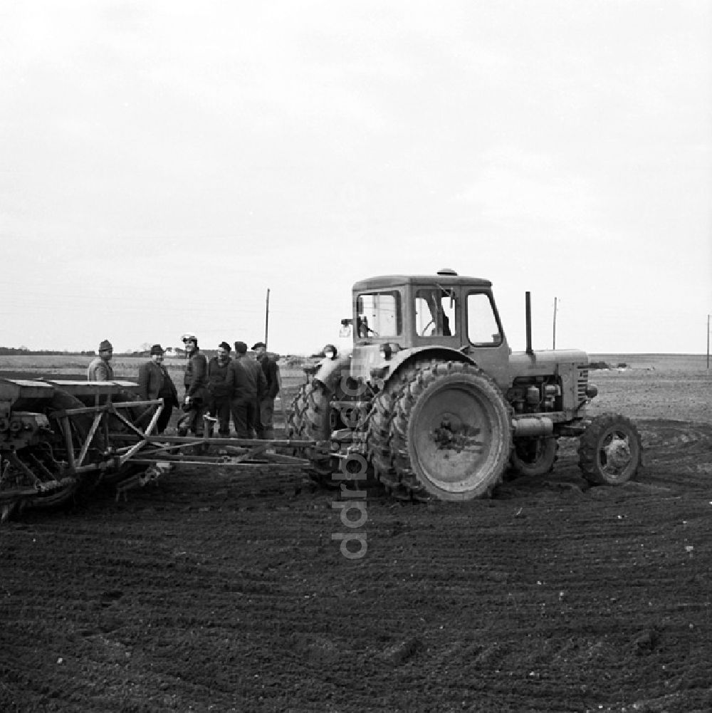 DDR-Fotoarchiv: Stolzenhagen - LPG in Stolzenhagen