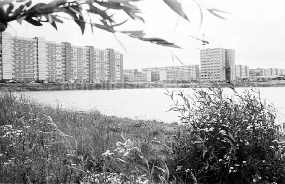 DDR-Bildarchiv: Magdeburg - Magdeburg Wohngebiet Foto: Bonitz Nr.: 652b