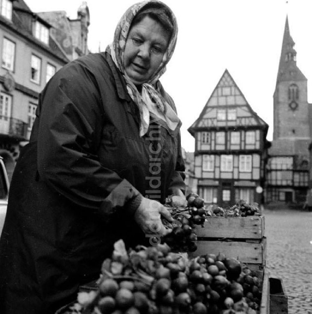 Blankenburg: Mai 1973 Quedlinburg Städtebild